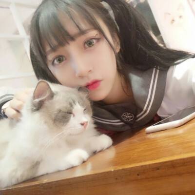元素战纪破解版下载